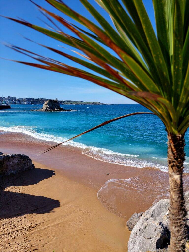 Sardinero Beach Santander gold sand turquoise water palm organizar viaje a Cantabria